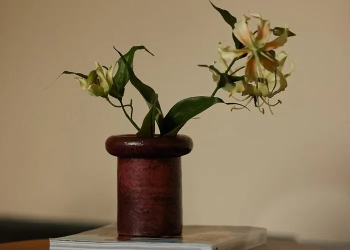 Morgan & Mees فندق